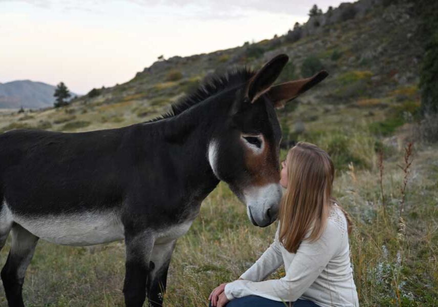 Lindsay Adler working with a donkey at her ranch.